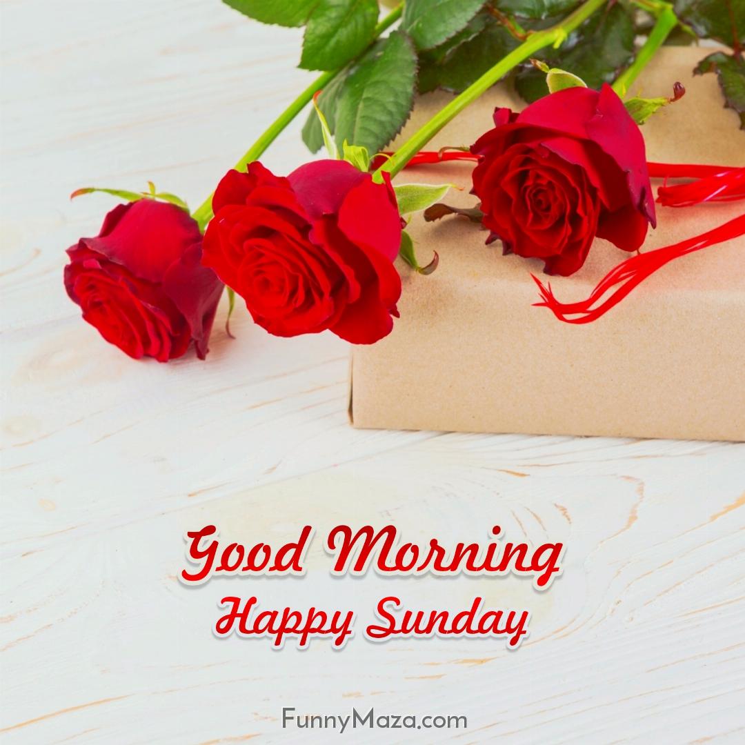 Good Morning Happy Sunday Rose Love Wallpaper