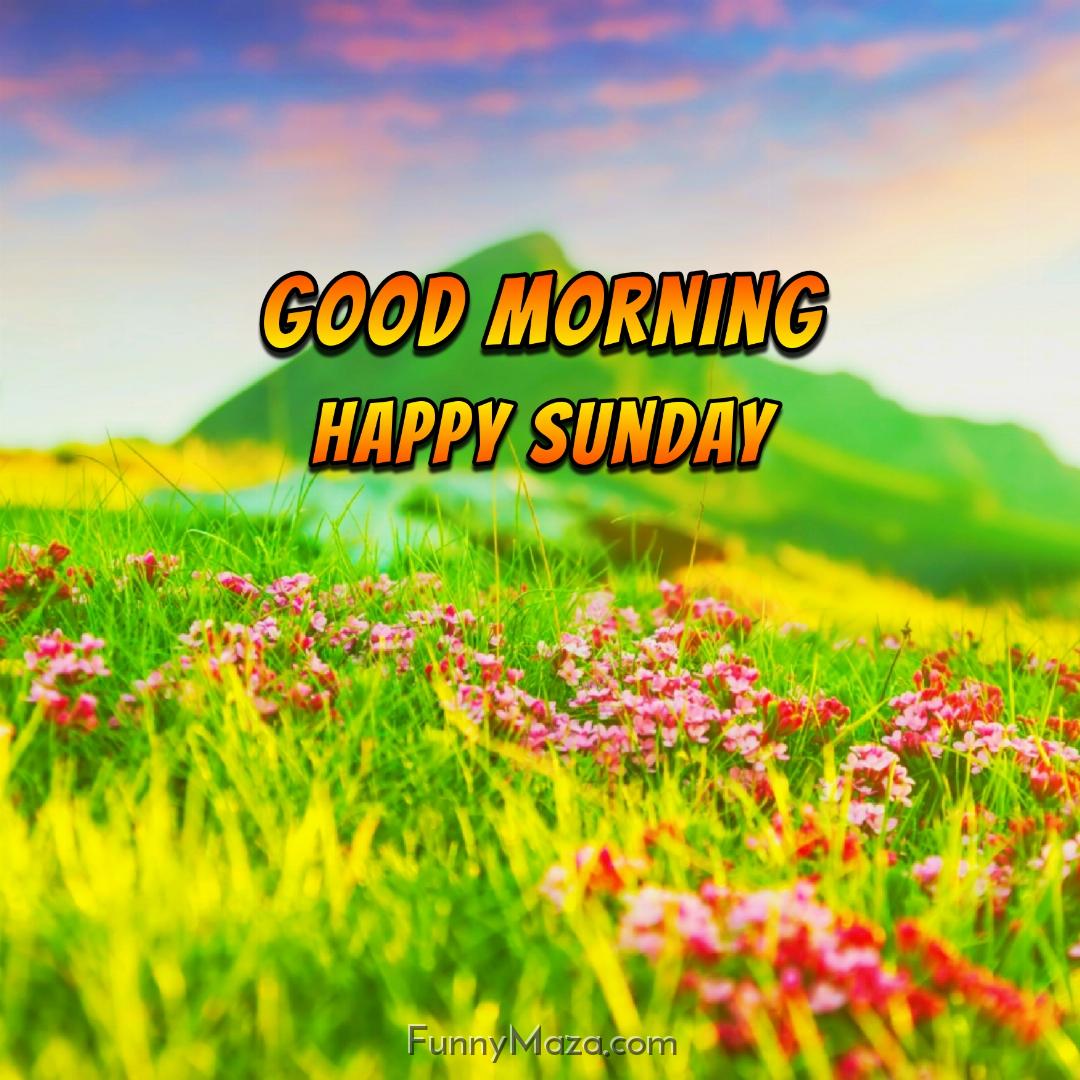 New Good Morning Happy Sunday Nature Images 2024 HD Download