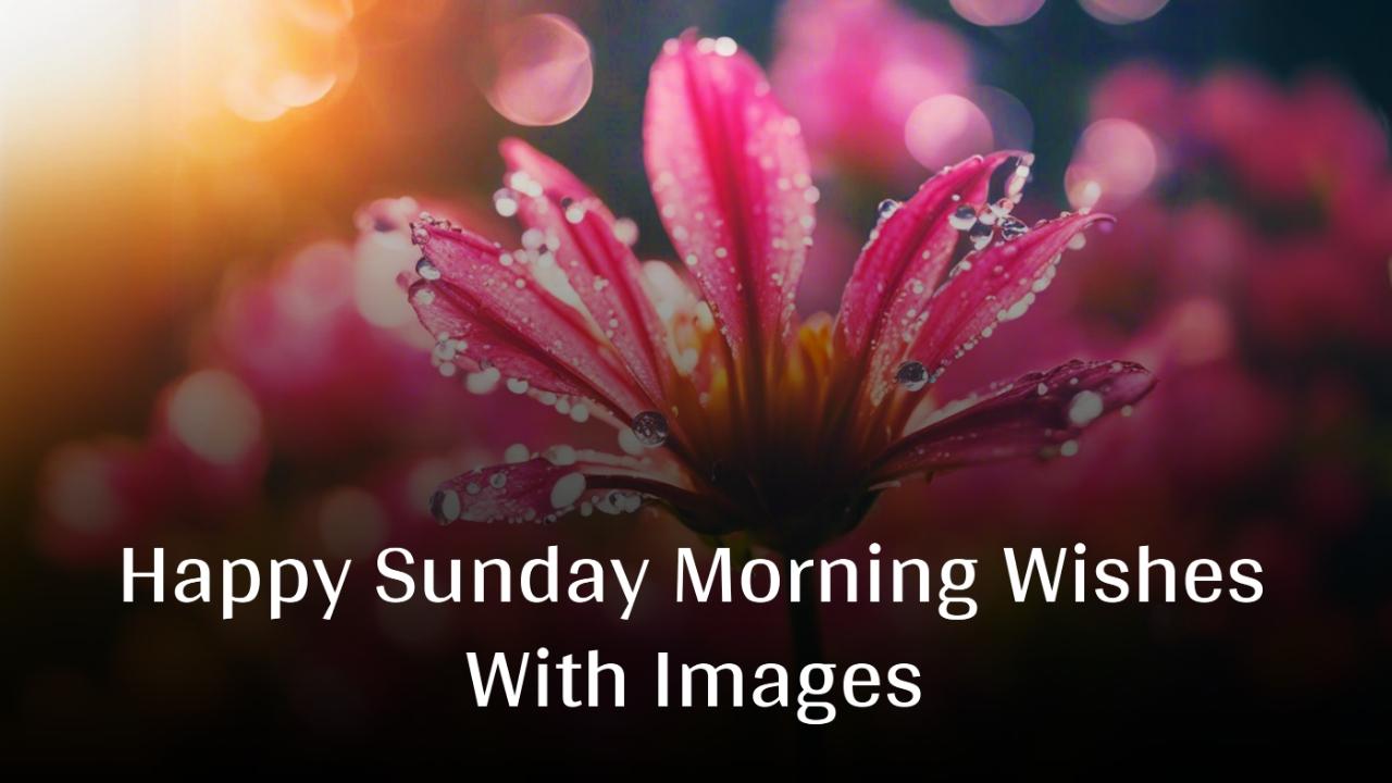 Happy Sunday Morning Wishes With Images