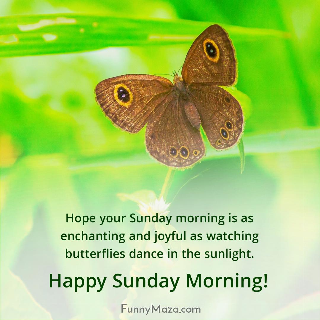 Hope your Sunday morning is as enchanting and joyful as watching