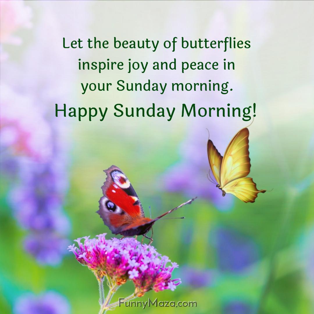 Let the beauty of butterflies inspire joy and peace in your