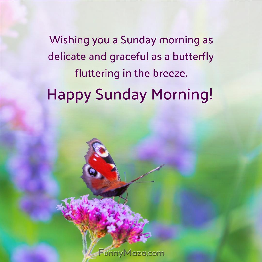 Wishing you a Sunday morning as delicate and graceful as a