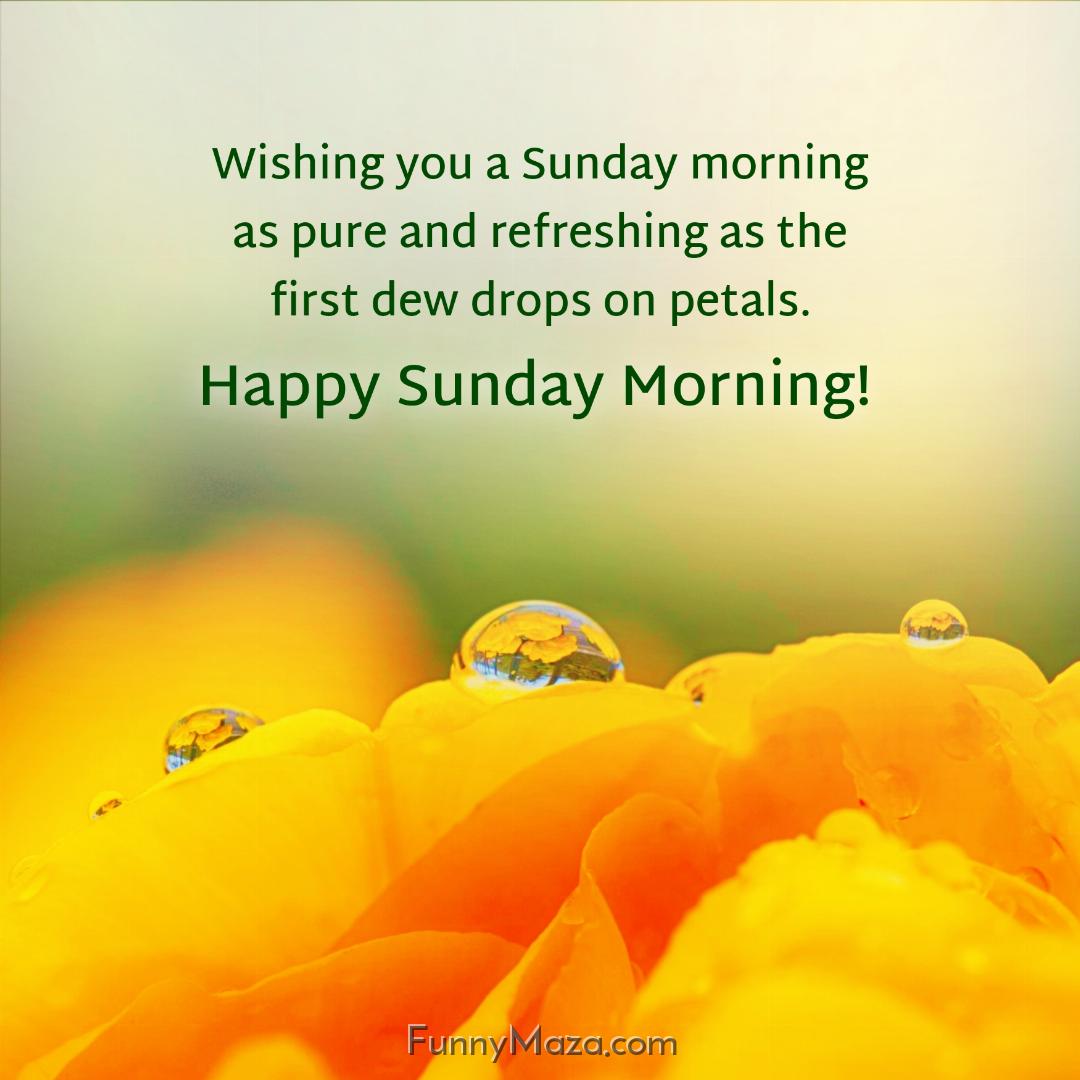 Wishing you a Sunday morning as pure and refreshing as the