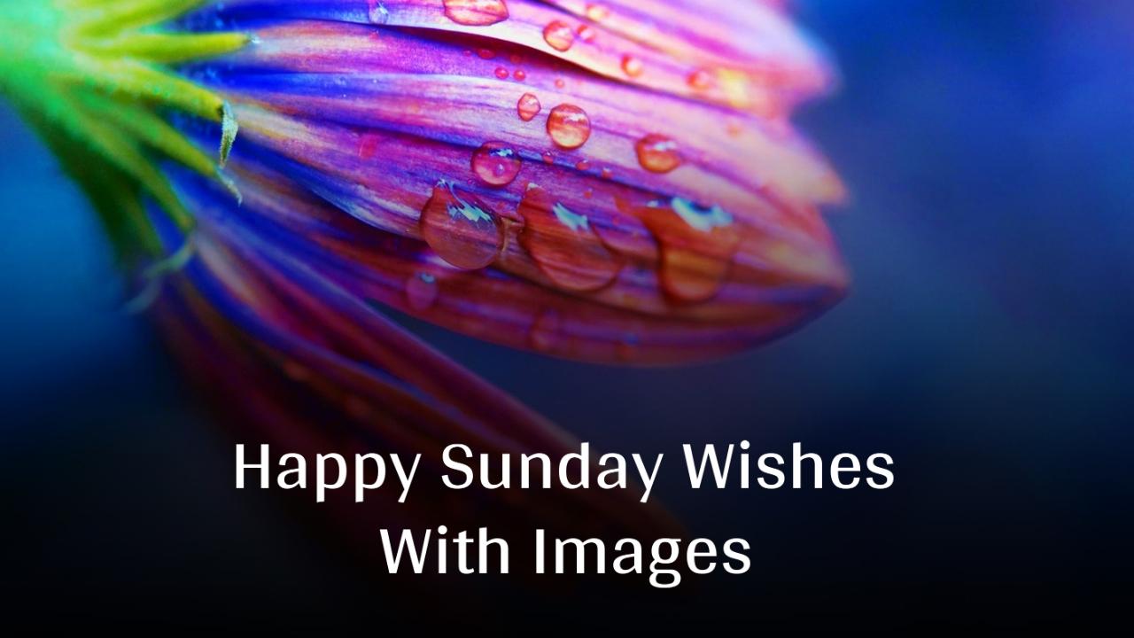 Beautiful Happy Sunday Wishes With Images