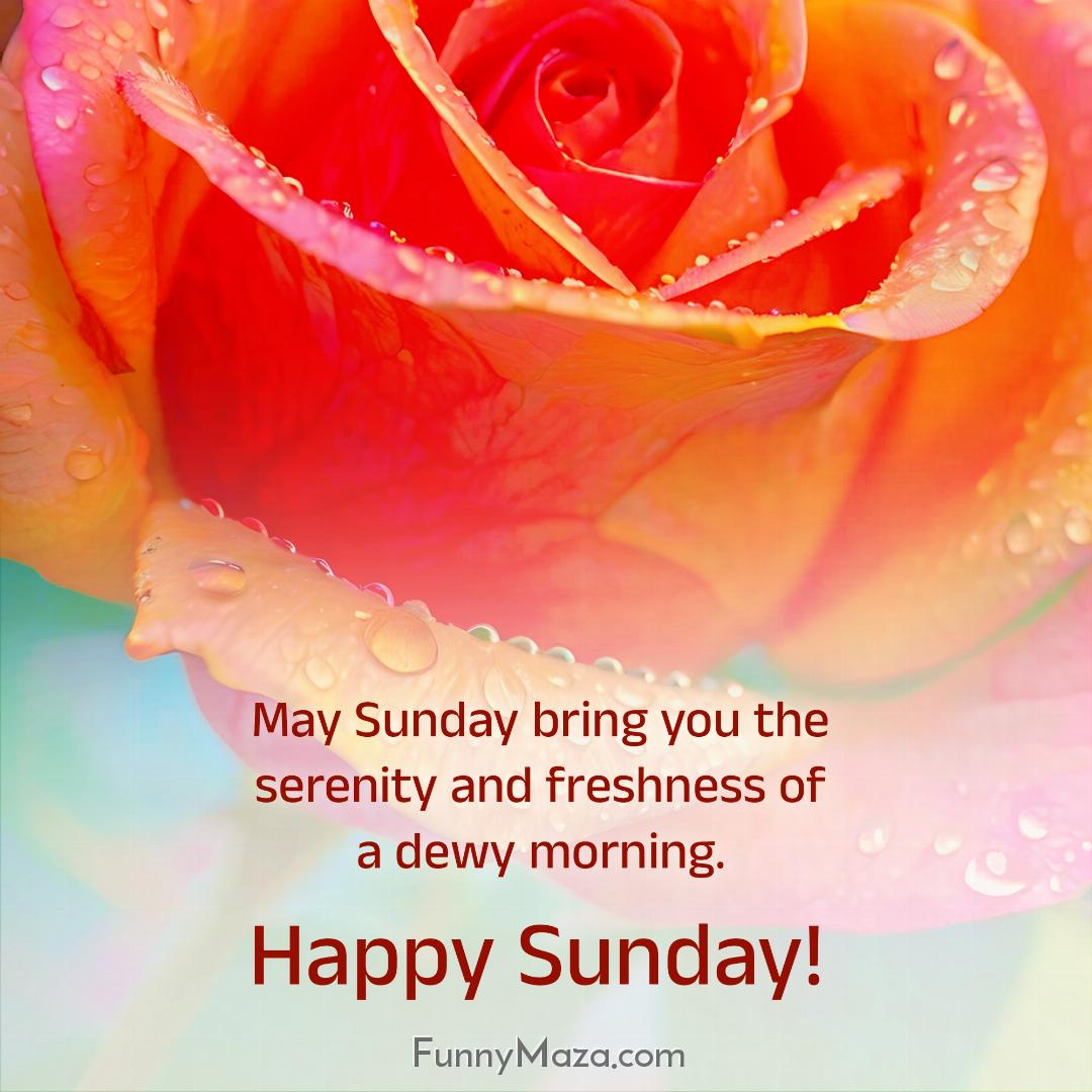 May Sunday bring you the serenity and freshness of a dewy