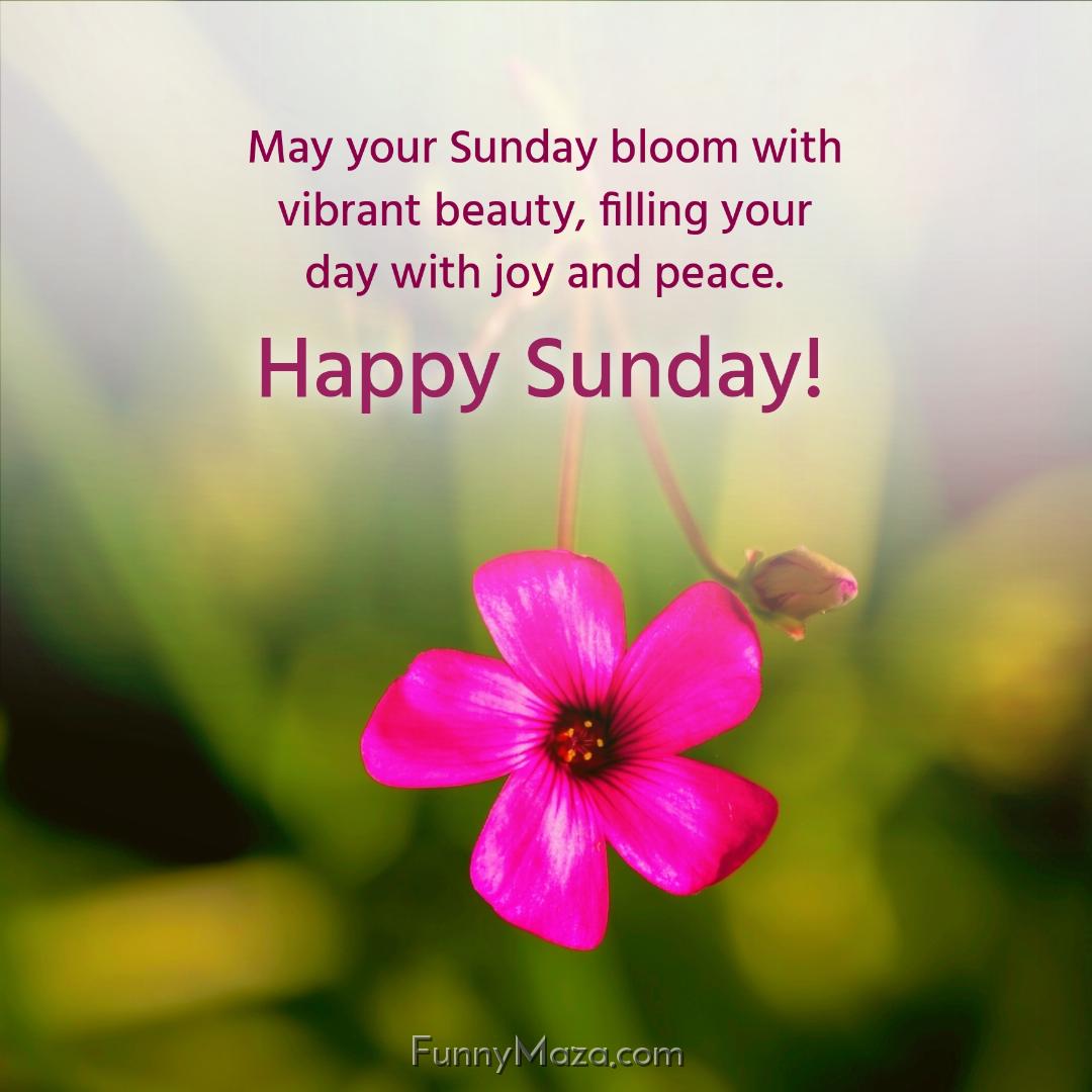 May your Sunday bloom with vibrant beauty filling your day with