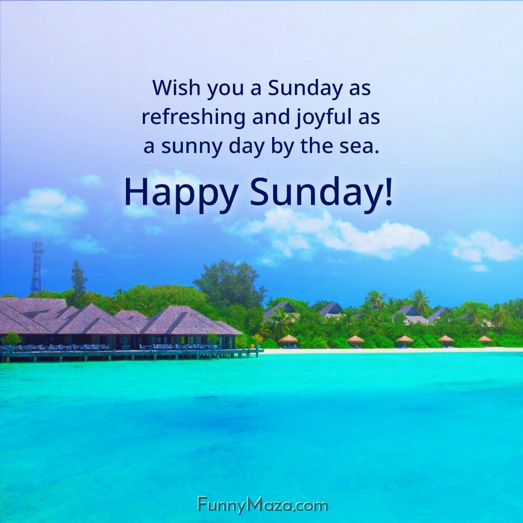 Wish you a Sunday as refreshing and joyful as a sunny