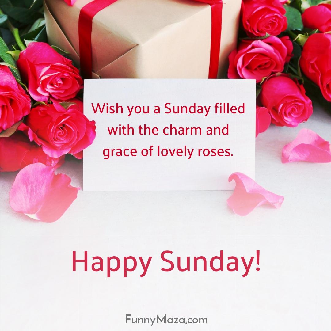 Wish you a Sunday filled with the charm and grace of