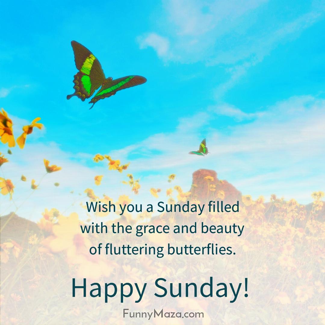 Wish you a Sunday filled with the grace and beauty of