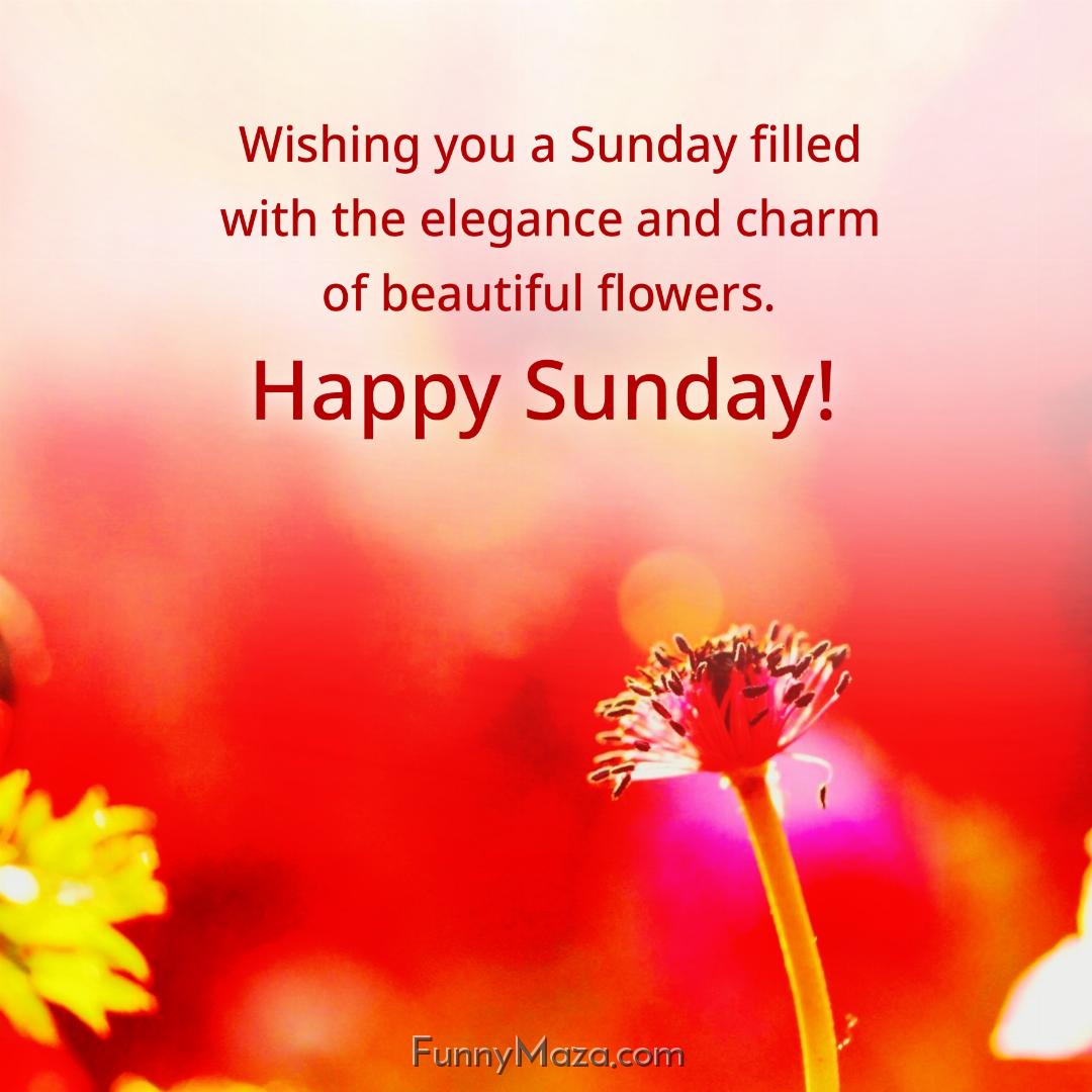 Wishing you a Sunday filled with the elegance and charm of