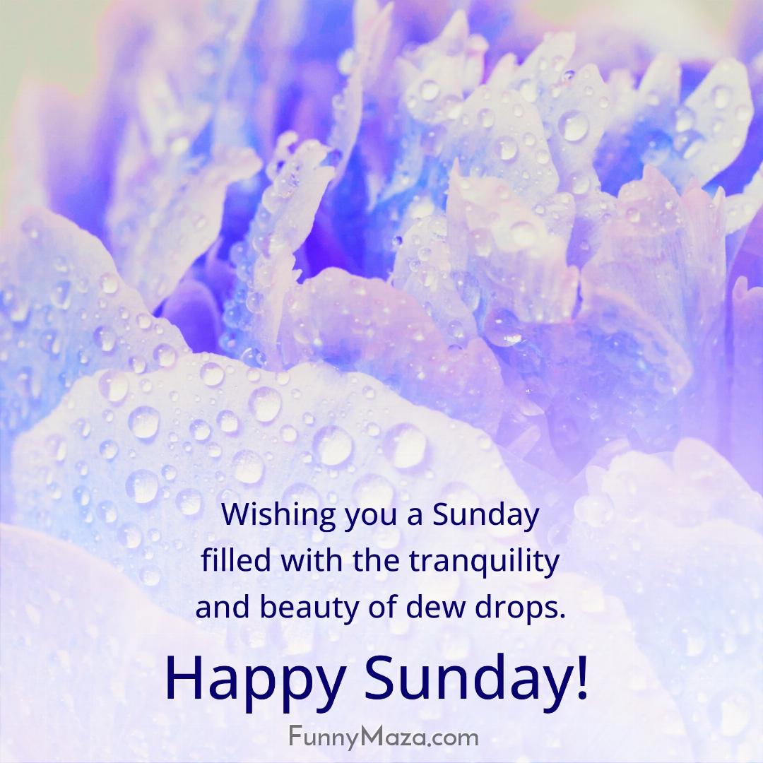 Wishing you a Sunday filled with the tranquility and beauty of