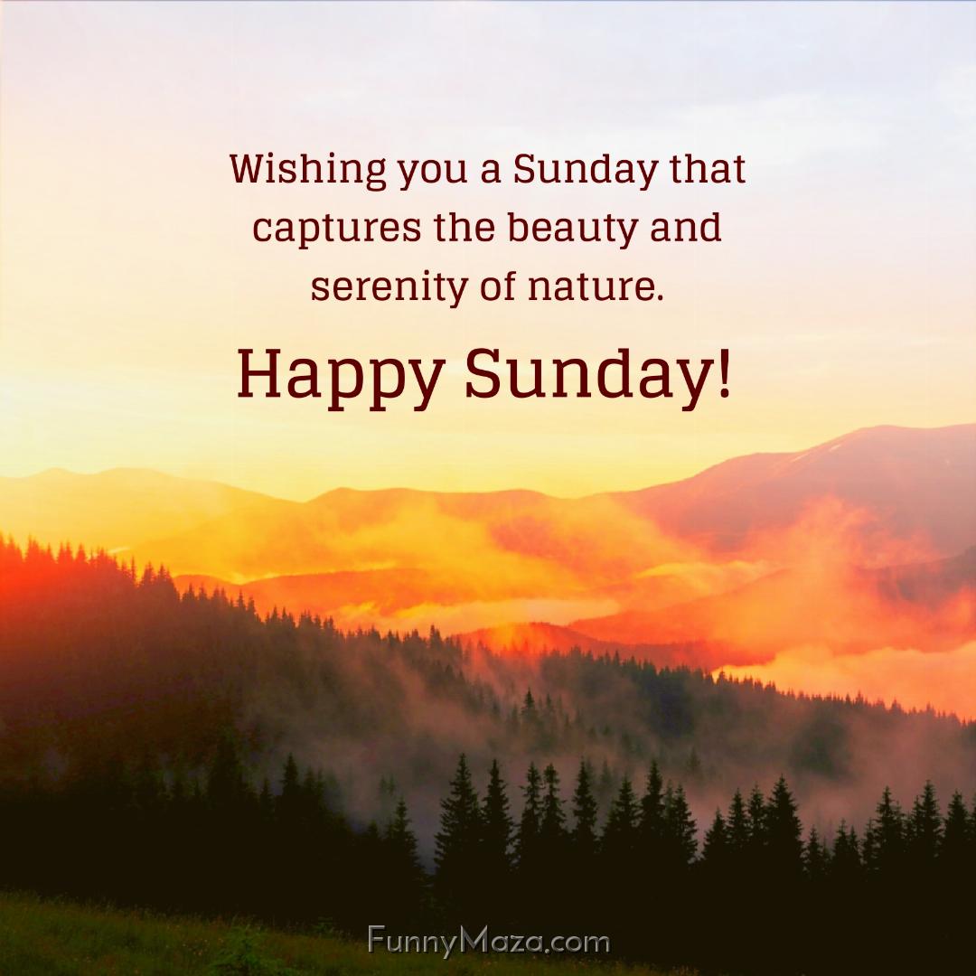 Wishing you a Sunday that captures the beauty and serenity of