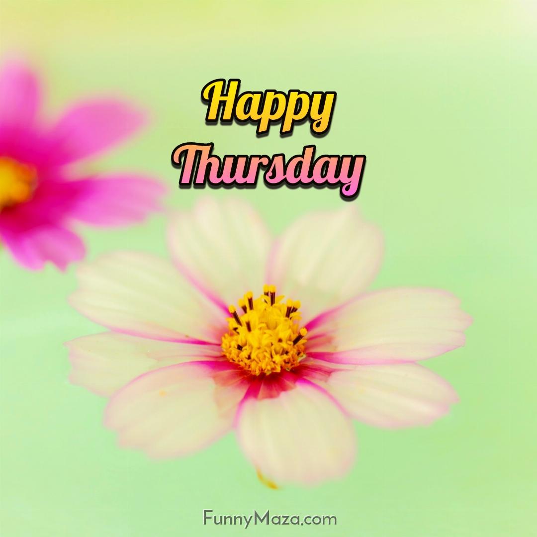 Beautiful Thursday Flowers Images