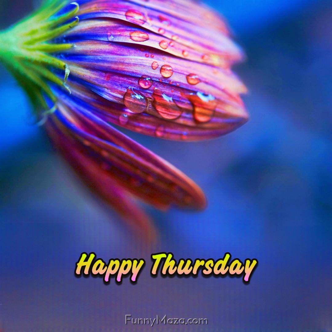 Happy Thursday Dew Drops 2024 Images