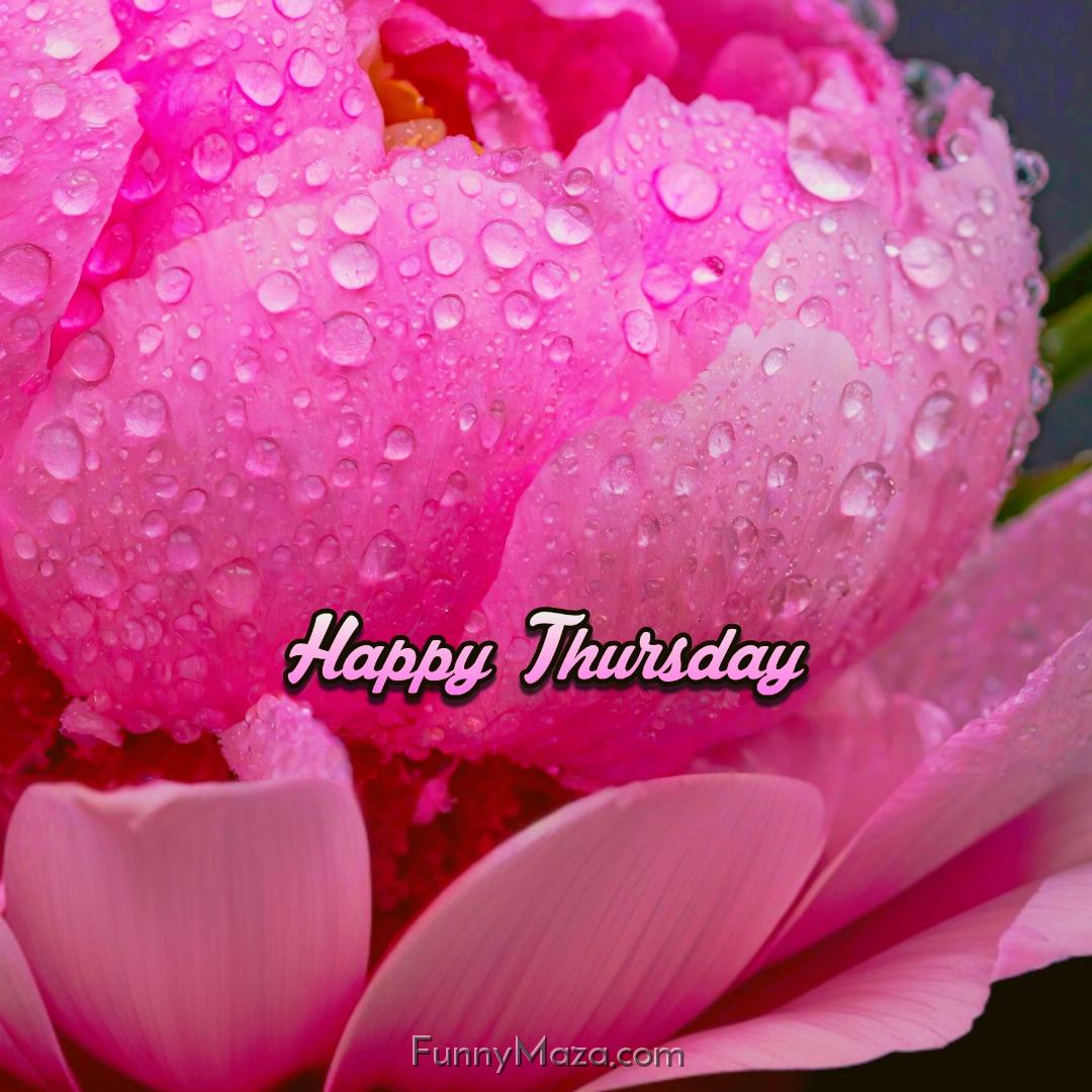 Happy Thursday Dew Drops Wallpaper