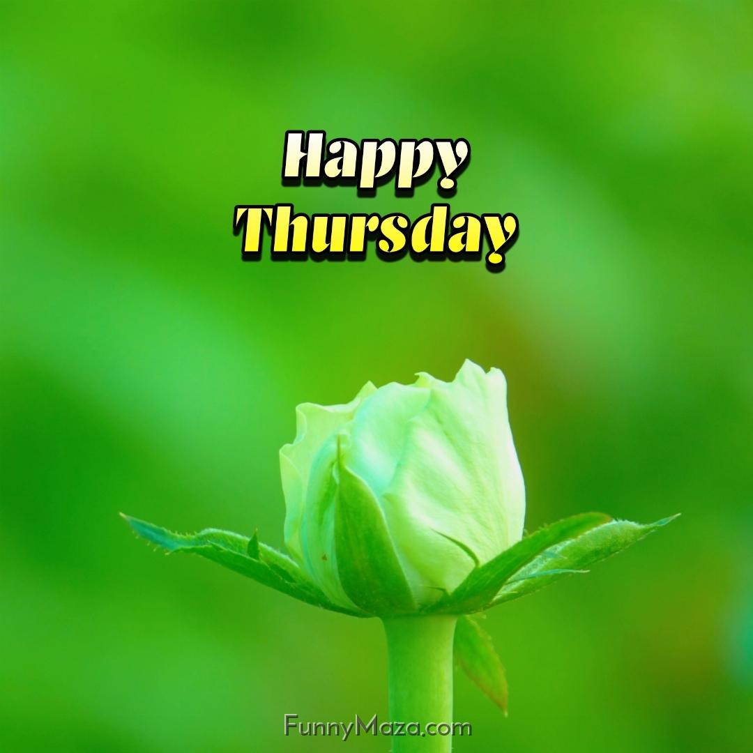 Happy Thursday Flowers Images