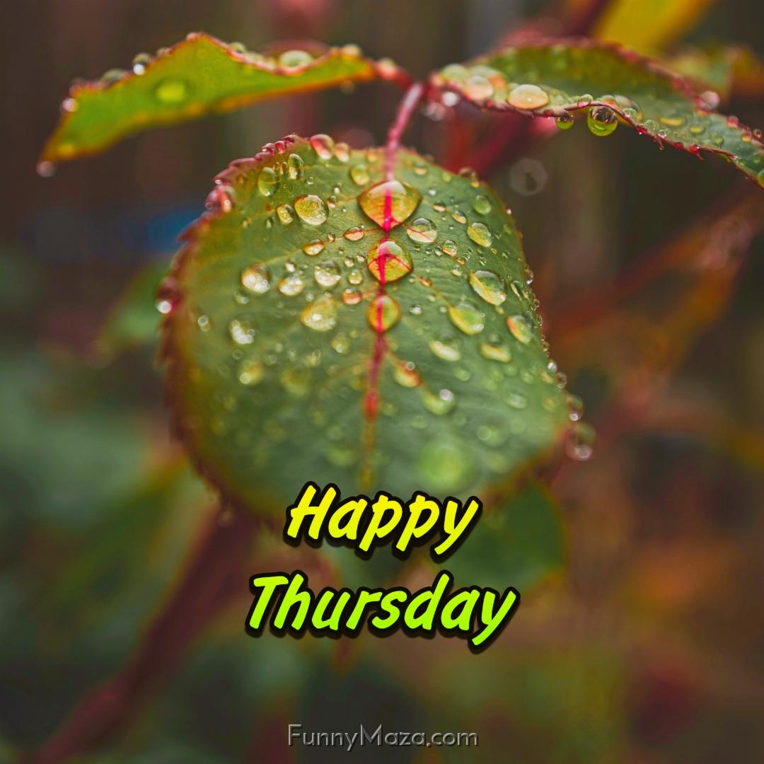 Happy Thursday Rainy Wallpaper