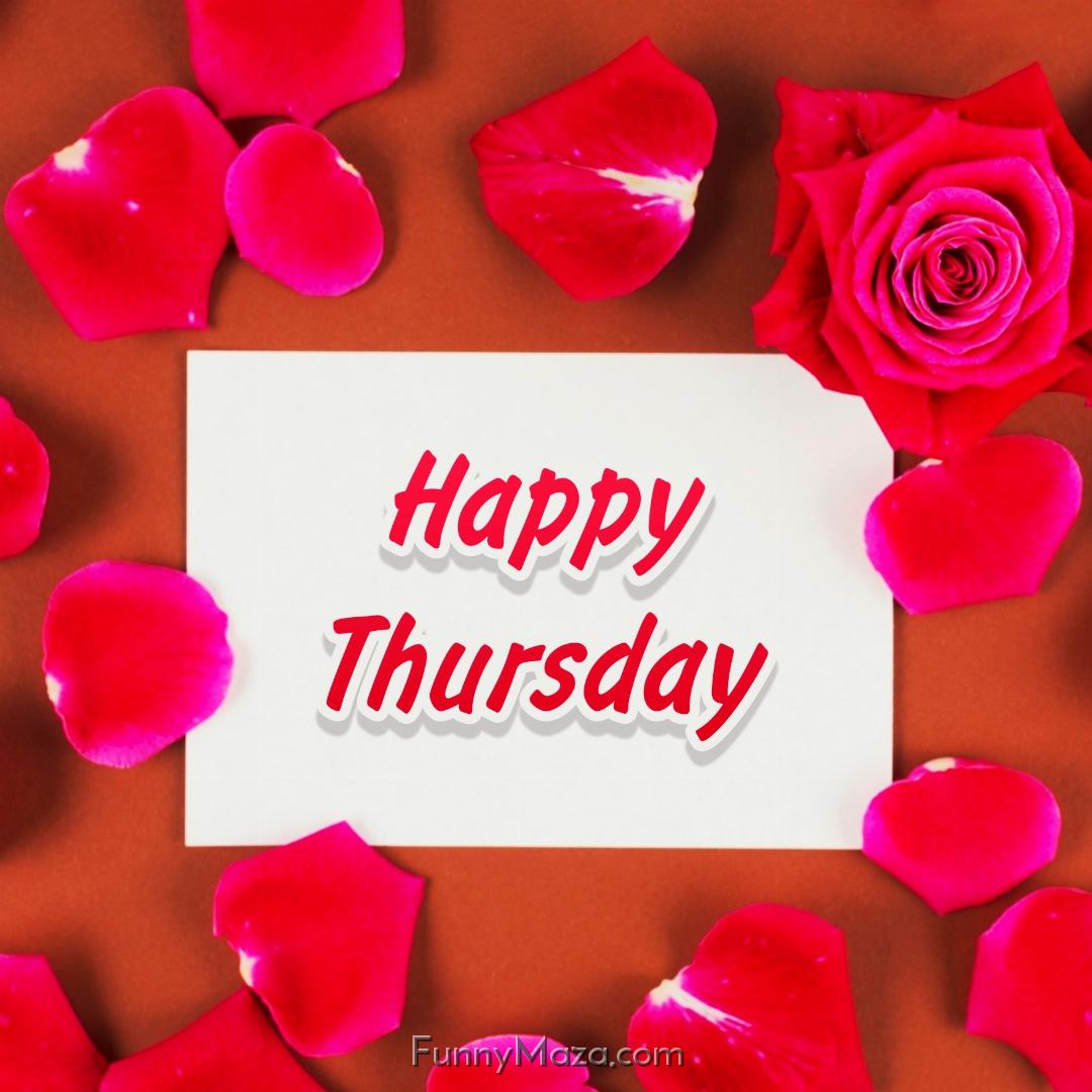 Happy Thursday Rose Love 2024 Images