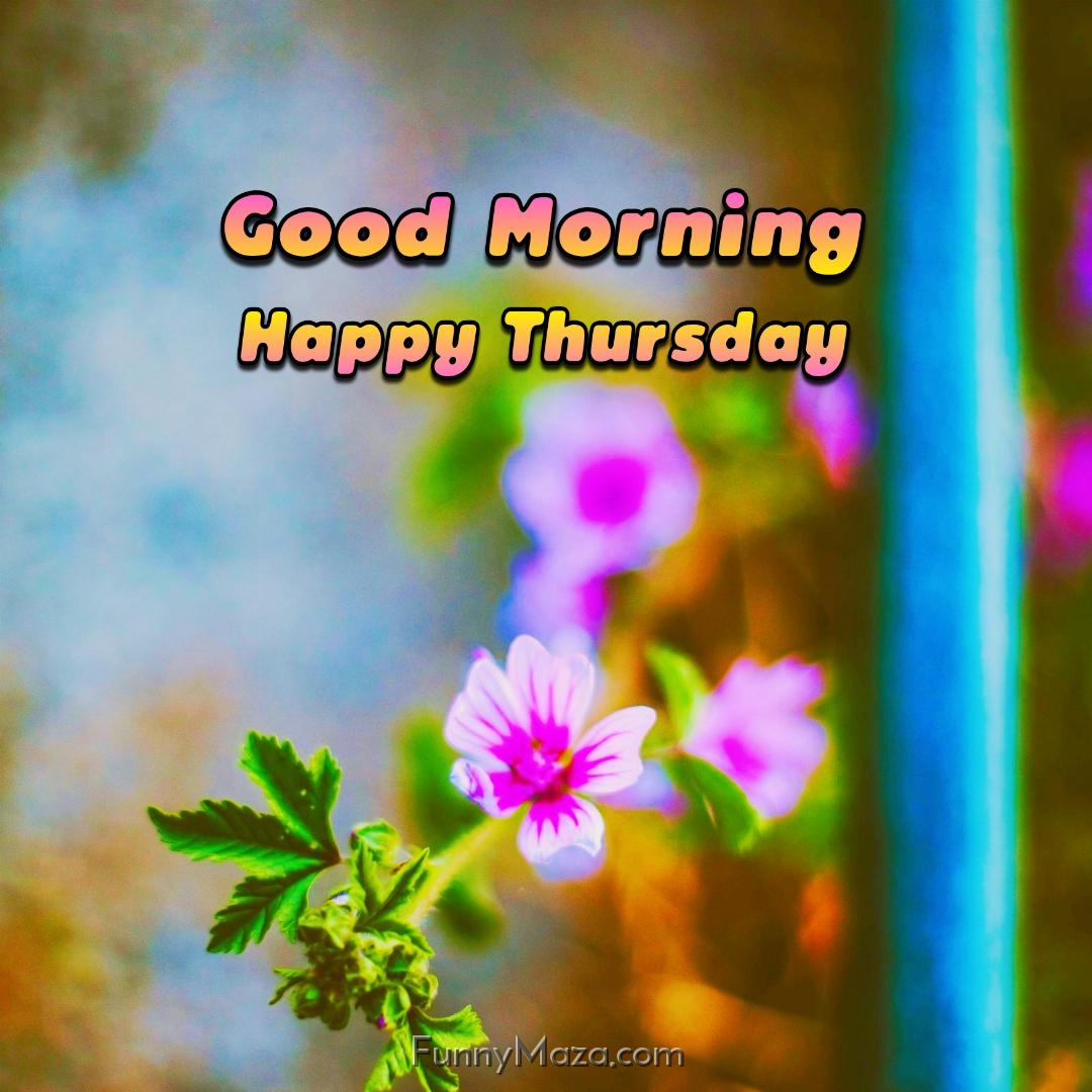 Good Morning Happy Thursday Flowers 2024 Images