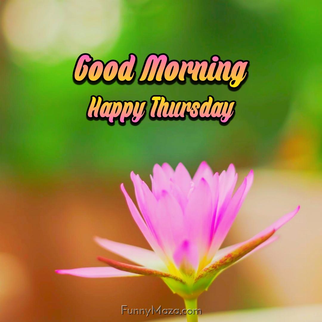 Good Morning Happy Thursday Flowers Images