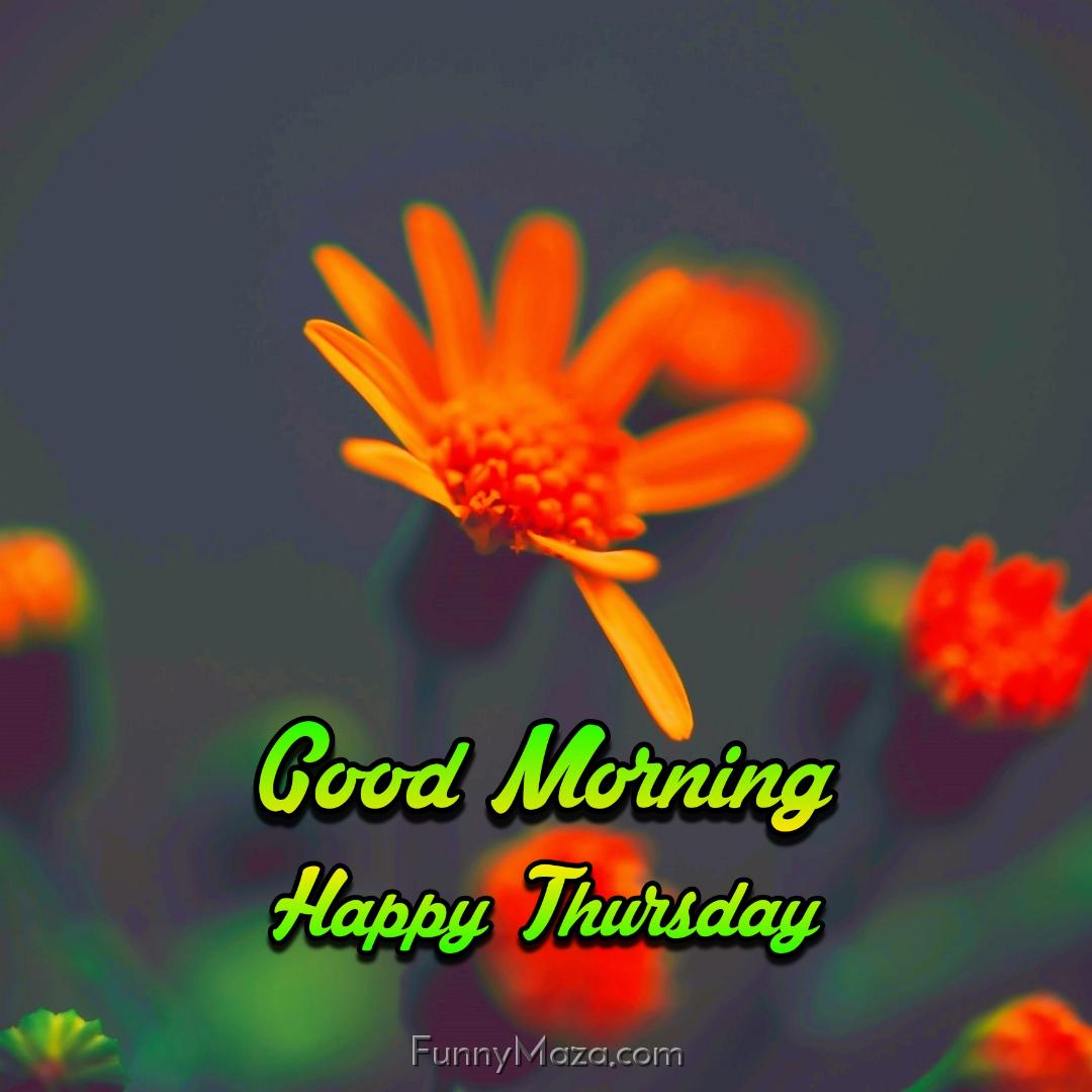 Good Morning Happy Thursday Flowers Wallpaper