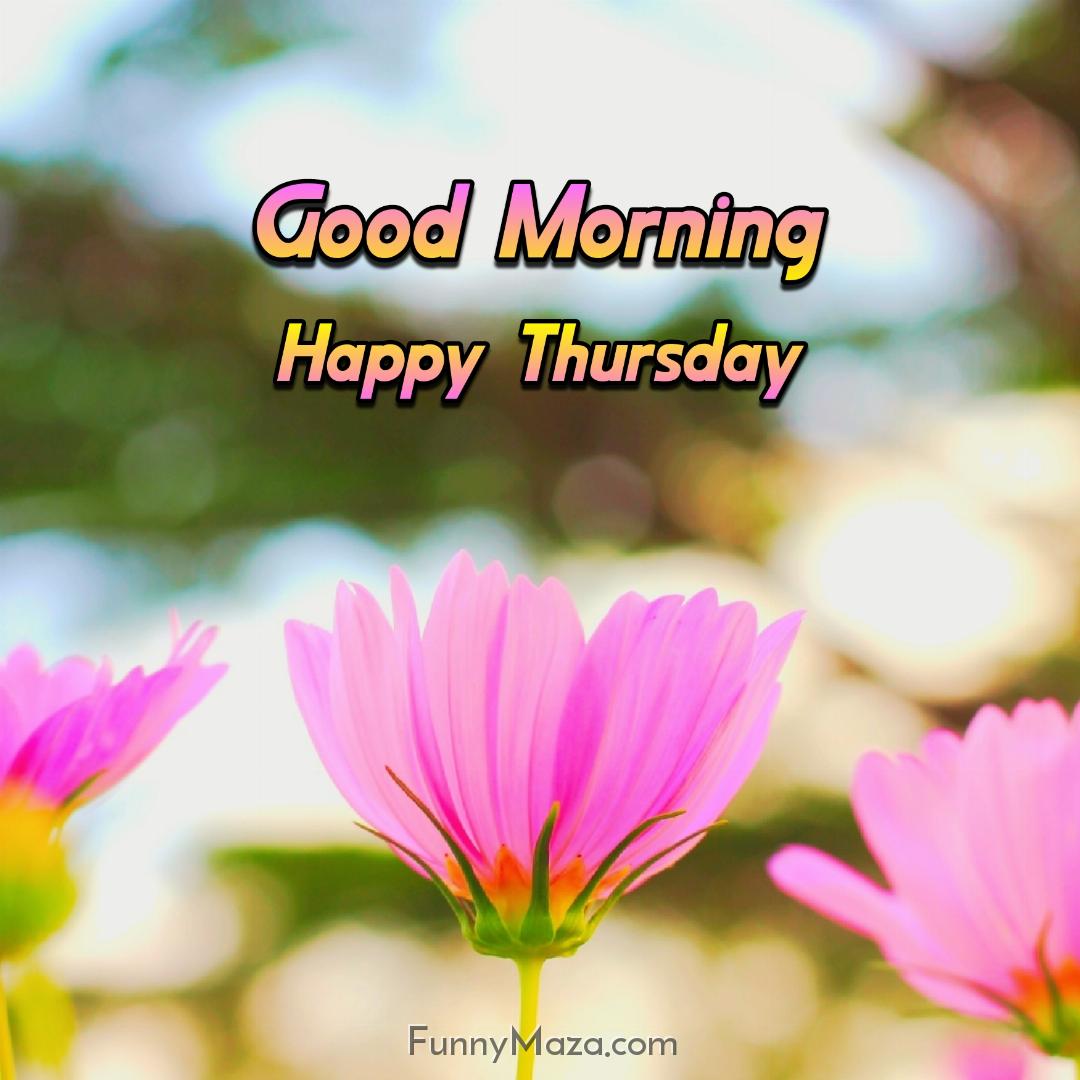 New Good Morning Happy Thursday Flowers Images 2024 HD Download