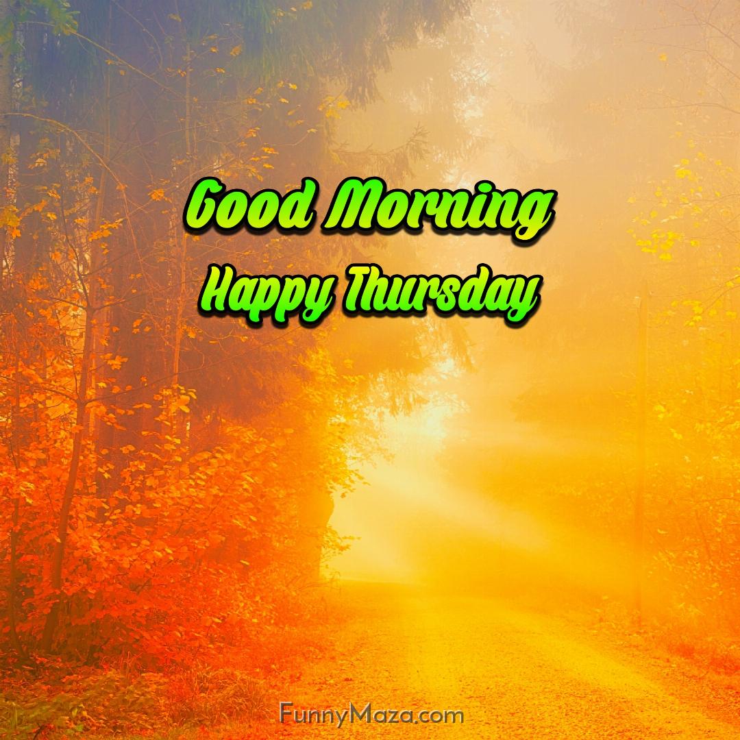 New Good Morning Happy Thursday Nature Images 2024 HD Download