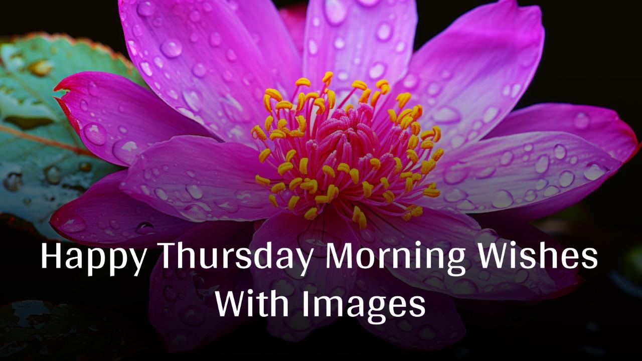 Happy Thursday Morning Wishes With Images