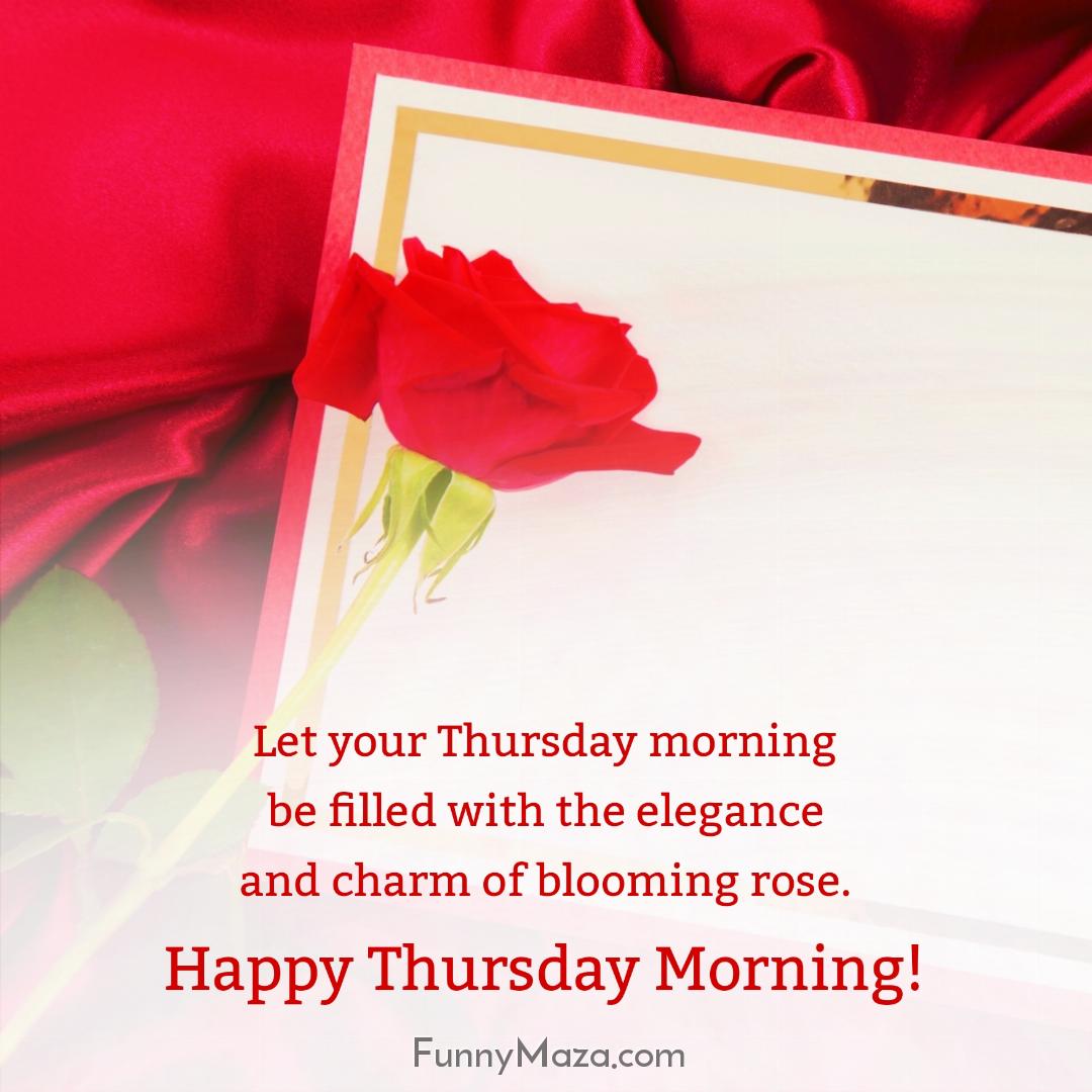 Let your Thursday morning be filled with the elegance and charm