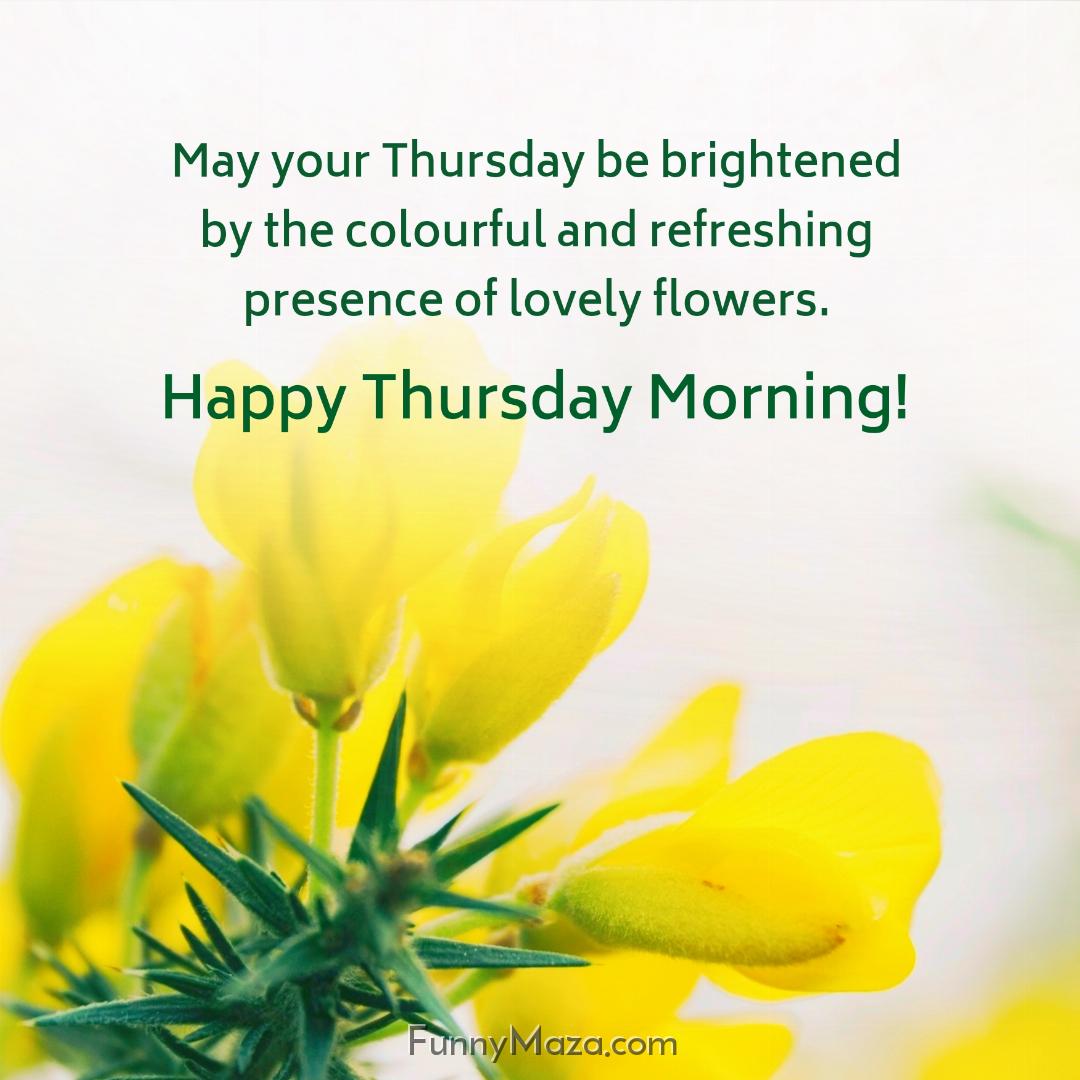 May your Thursday be brightened by the colourful and refreshing presence