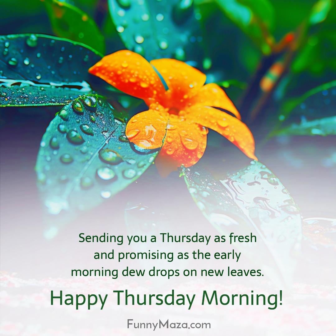 Sending you a Thursday as fresh and promising as the early