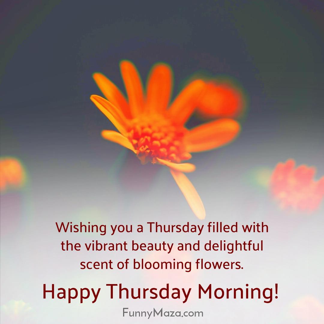 Wishing you a Thursday filled with the vibrant beauty and delightful