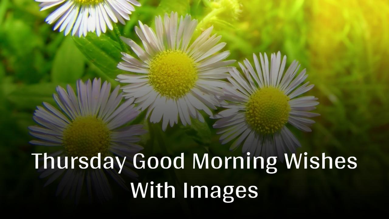 Thursday Good Morning Wishes With Images