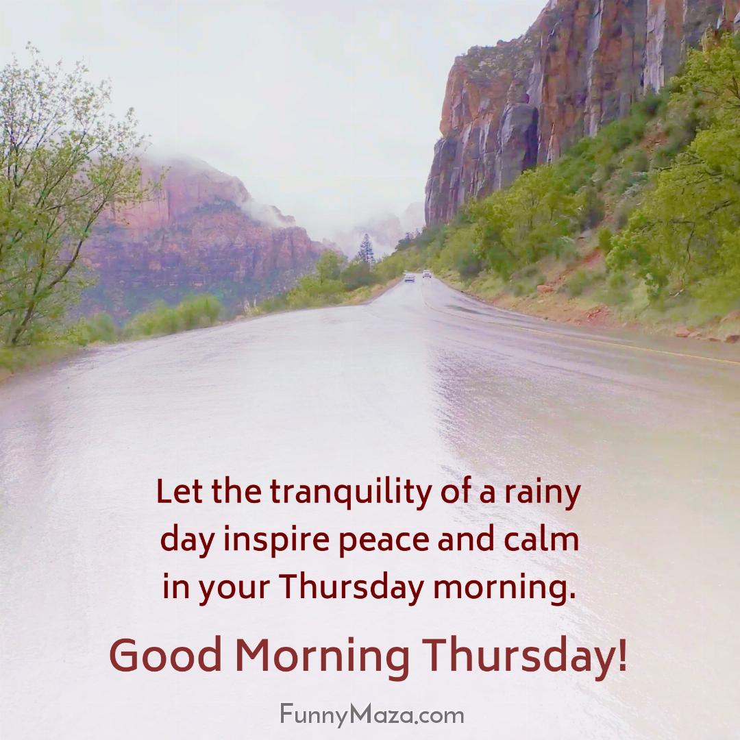 Let the tranquility of a rainy day inspire peace and calm