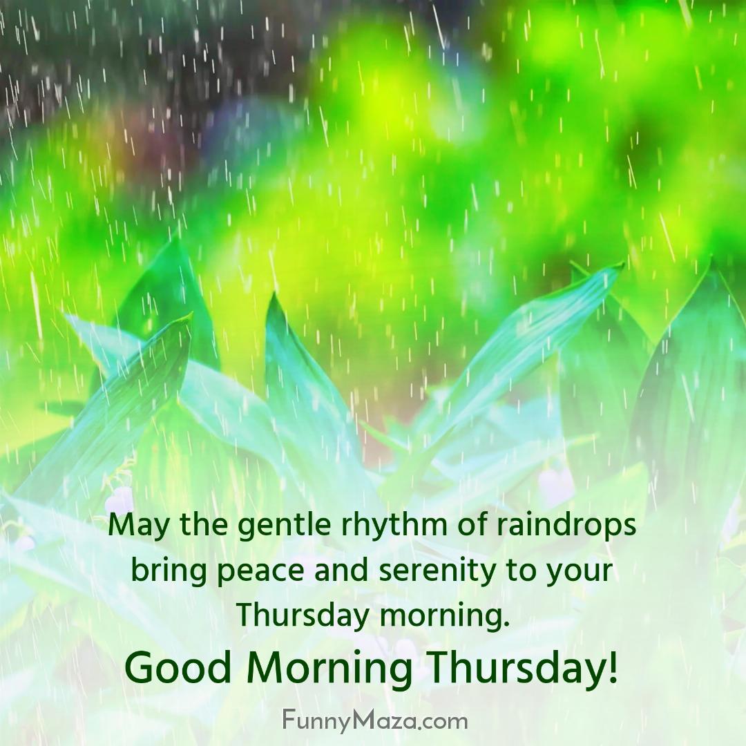 May the gentle rhythm of raindrops bring peace and serenity to