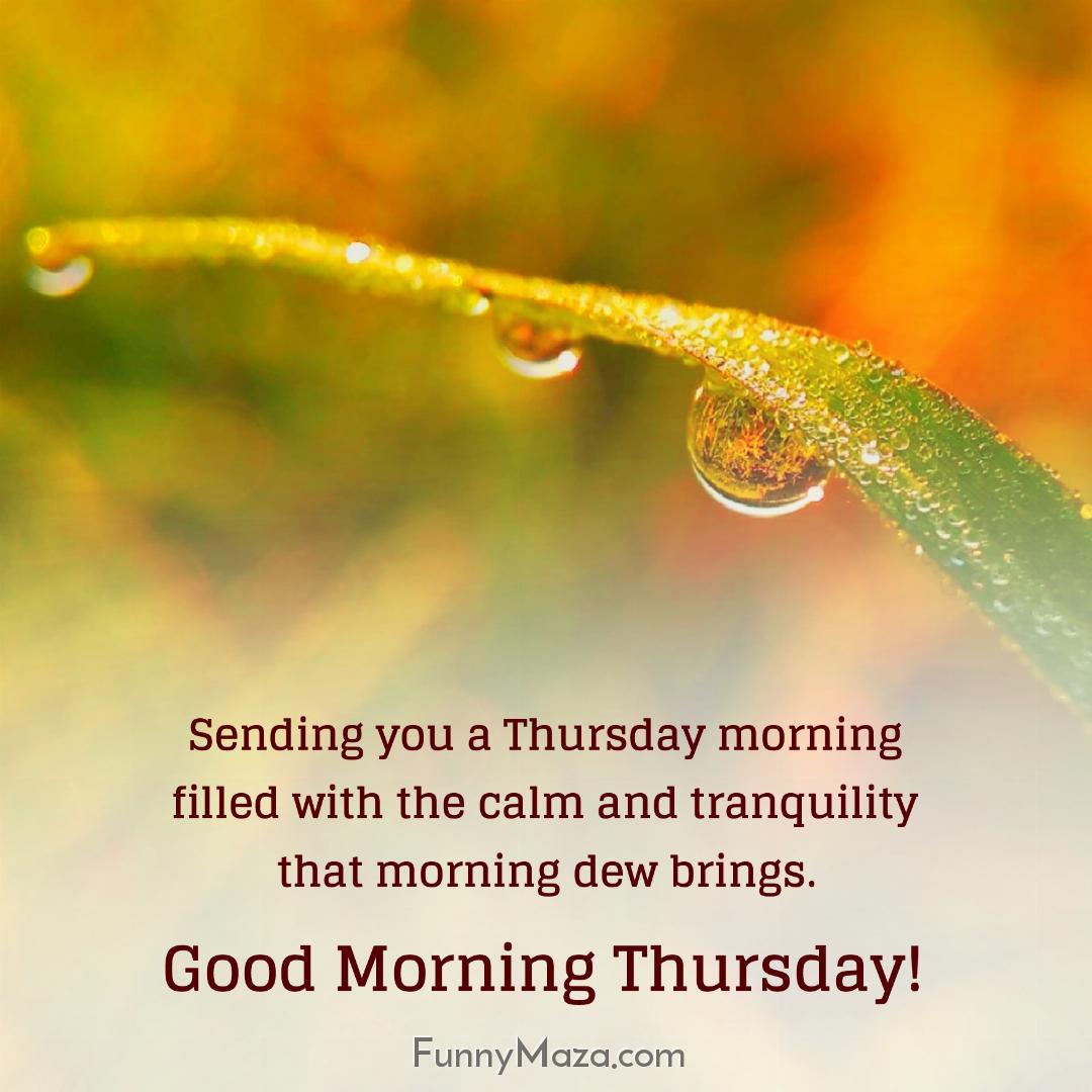 Sending you a Thursday morning filled with the calm and tranquility