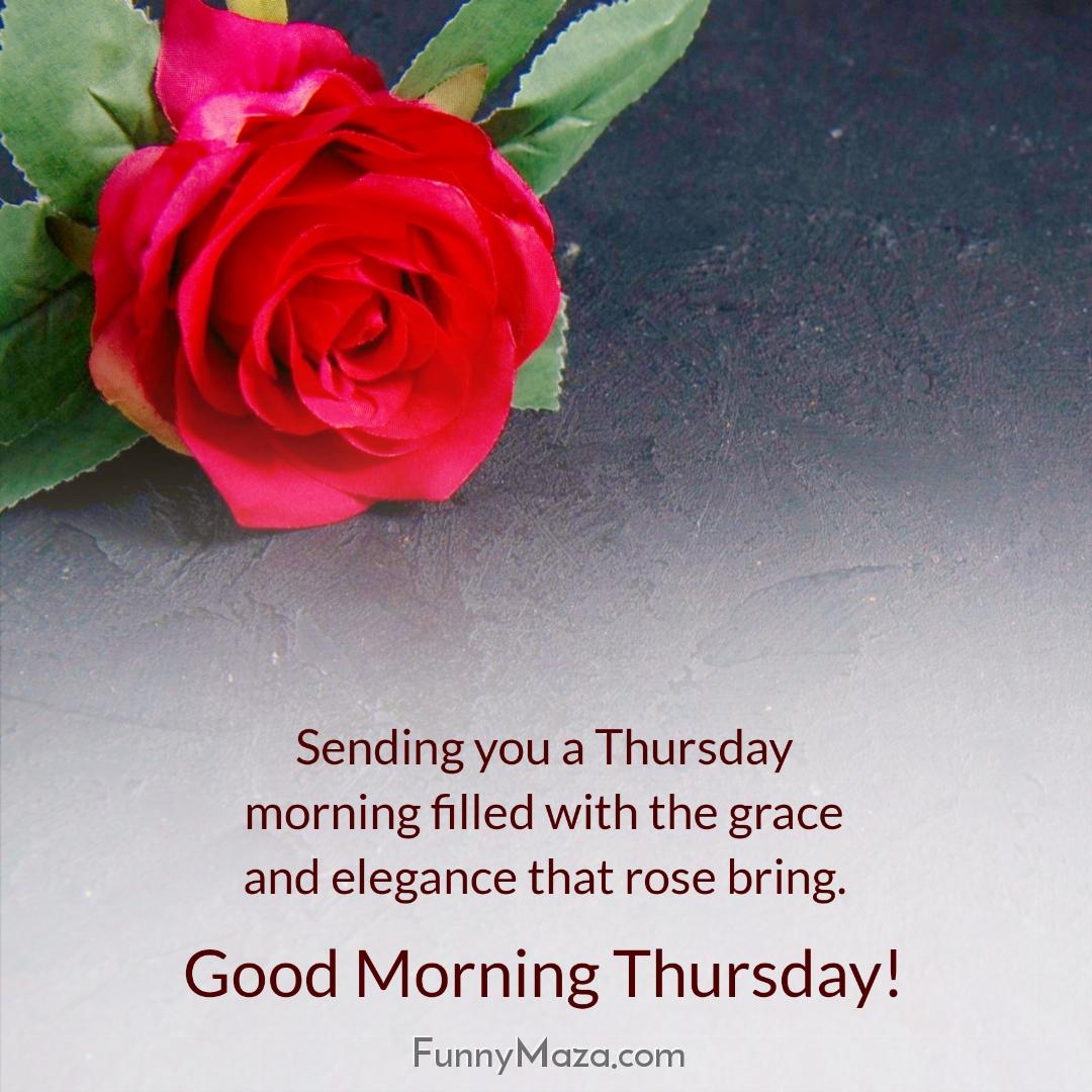 Sending you a Thursday morning filled with the grace and elegance