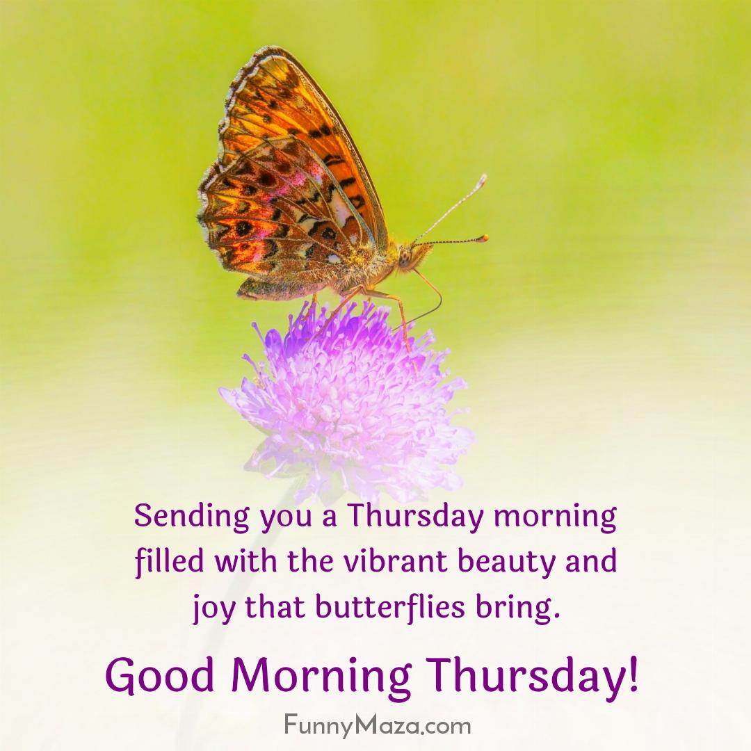 Sending you a Thursday morning filled with the vibrant beauty and