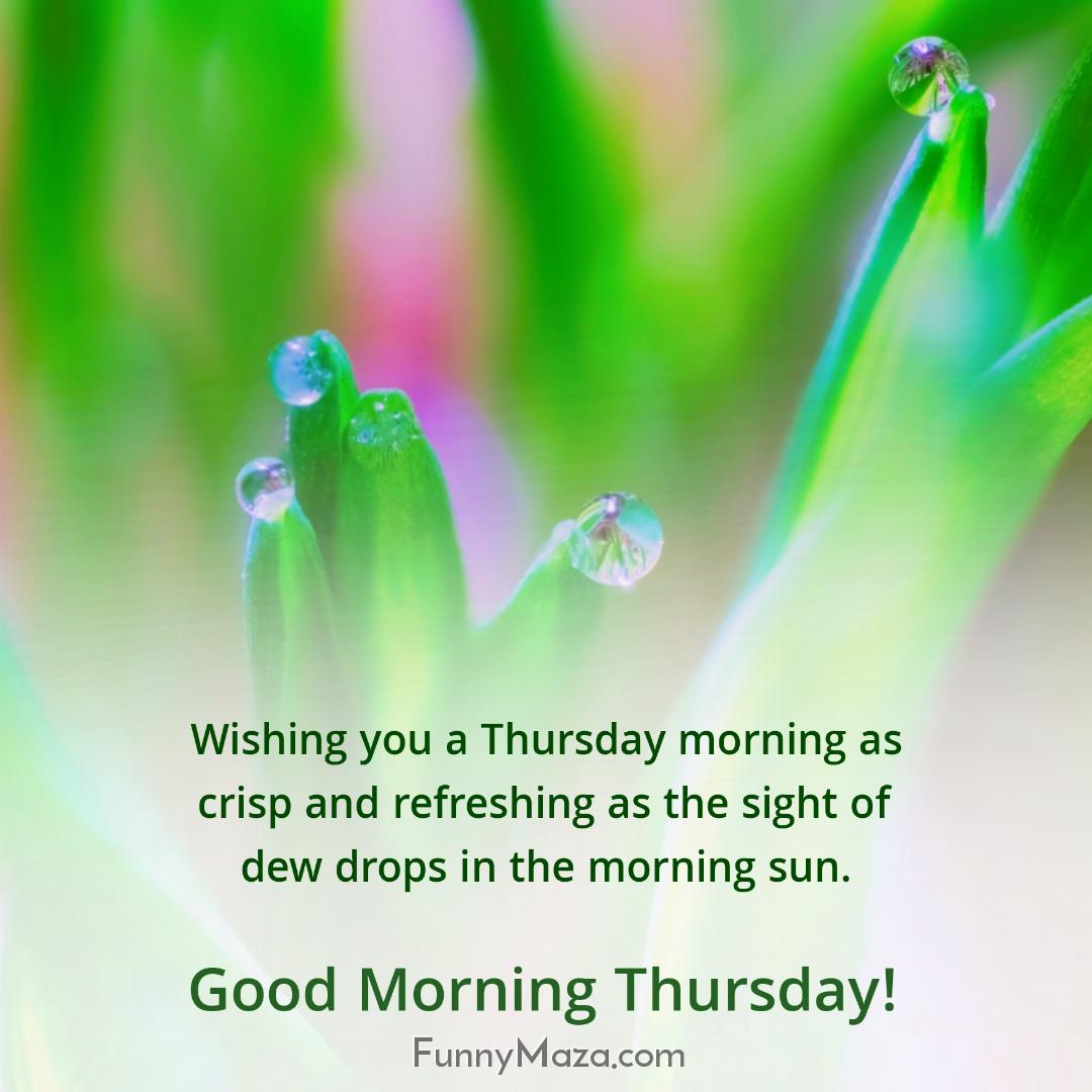 Wishing you a Thursday morning as crisp and refreshing as the