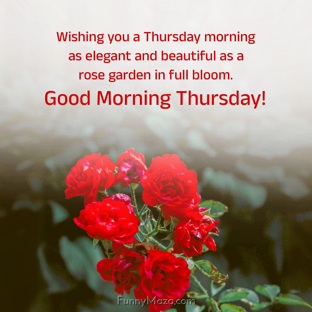 Wishing you a Thursday morning as elegant and beautiful as a