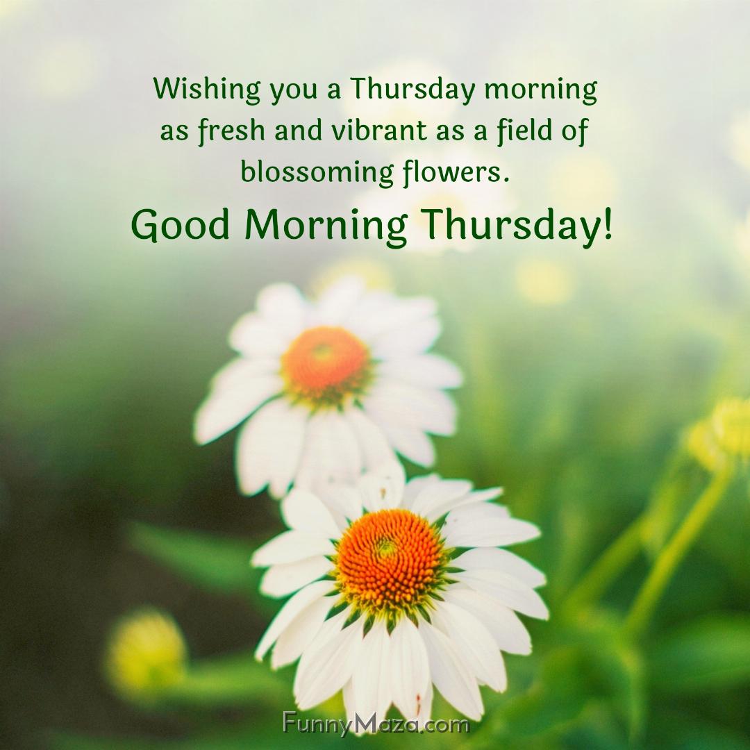 Wishing you a Thursday morning as fresh and vibrant as a