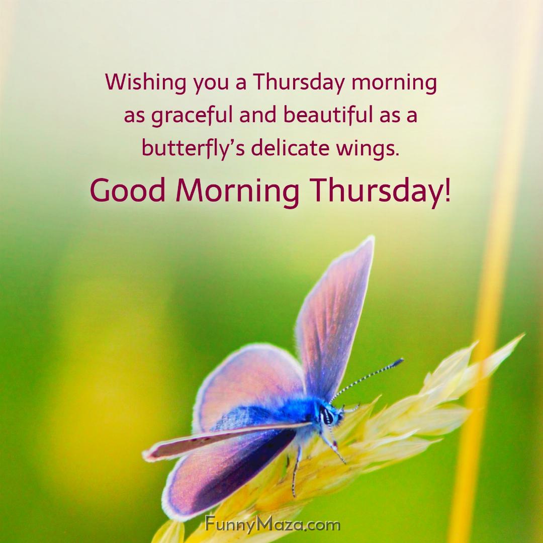 Wishing you a Thursday morning as graceful and beautiful as a