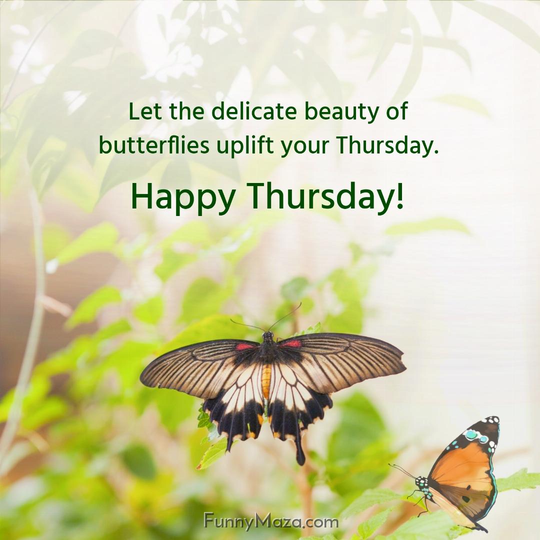 Let the delicate beauty of butterflies uplift your Thursday