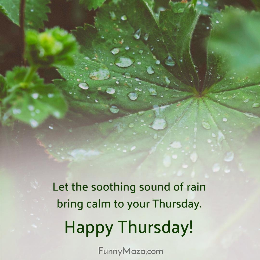 Let the soothing sound of rain bring calm to your Thursday