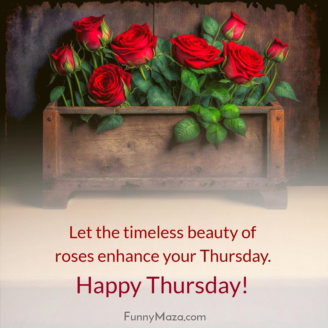 Let the timeless beauty of roses enhance your Thursday