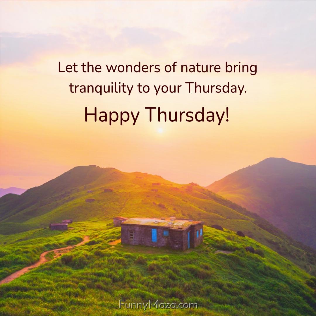 Let the wonders of nature bring tranquility to your Thursday