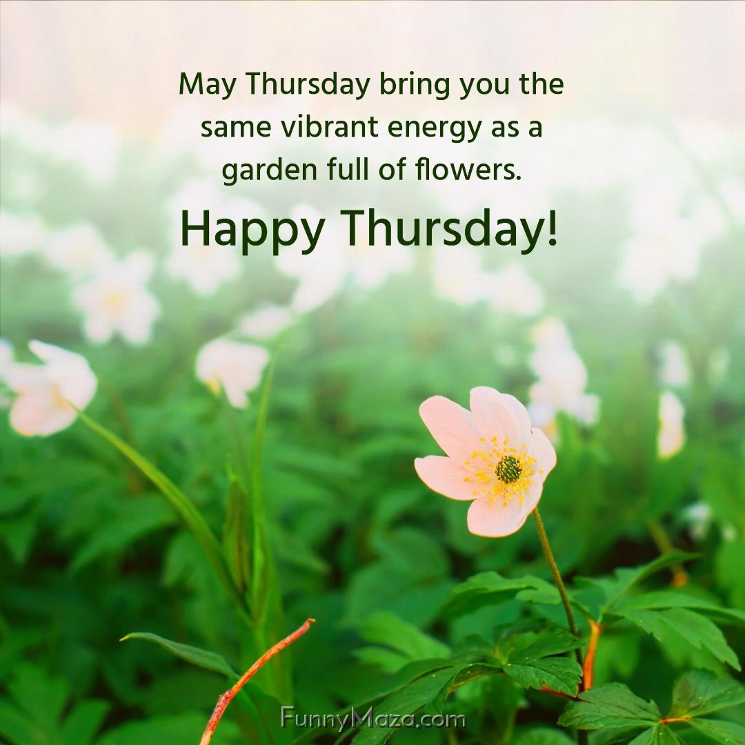 May Thursday bring you the same vibrant energy as a garden