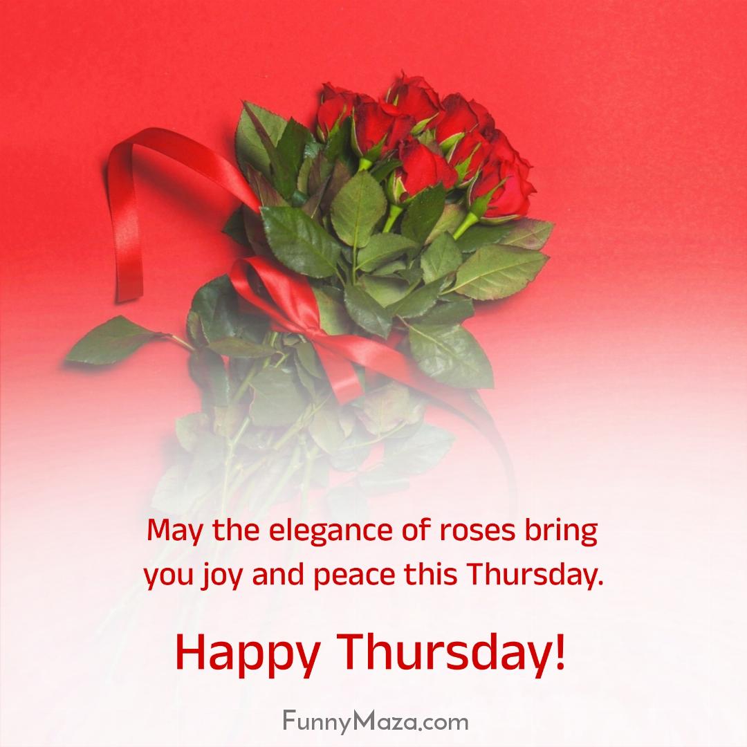 May the elegance of roses bring you joy and peace this