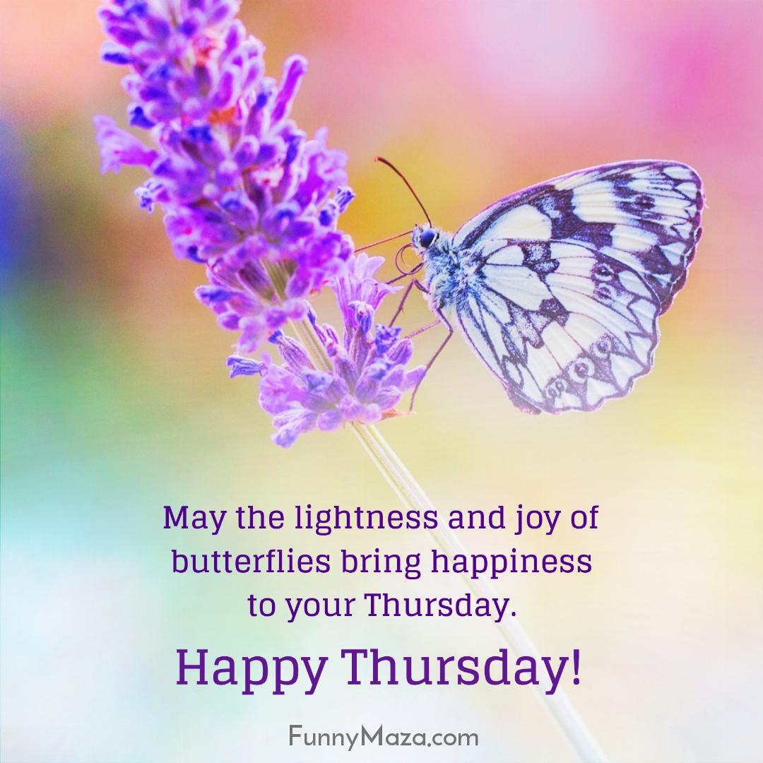 May the lightness and joy of butterflies bring happiness to your