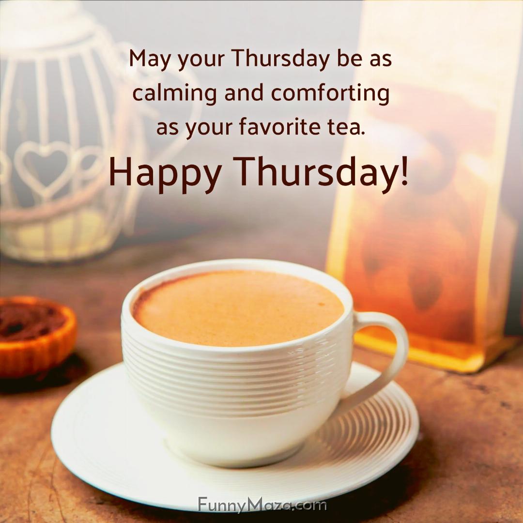 May your Thursday be as calming and comforting as your favorite